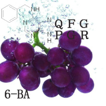 Promotores del crecimiento vegetal 6-Benzylaminopurine (6-BA)